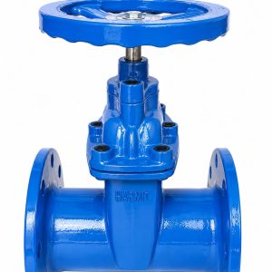 FLANGE CONCEALED STEM GATE VALVE HM 808