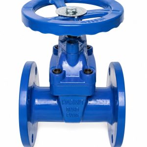 HM 806 Flange Concealed Stem Gate Valve
