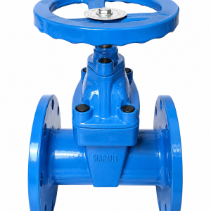 HM 807 Flange Concealed Stem Gate Valve